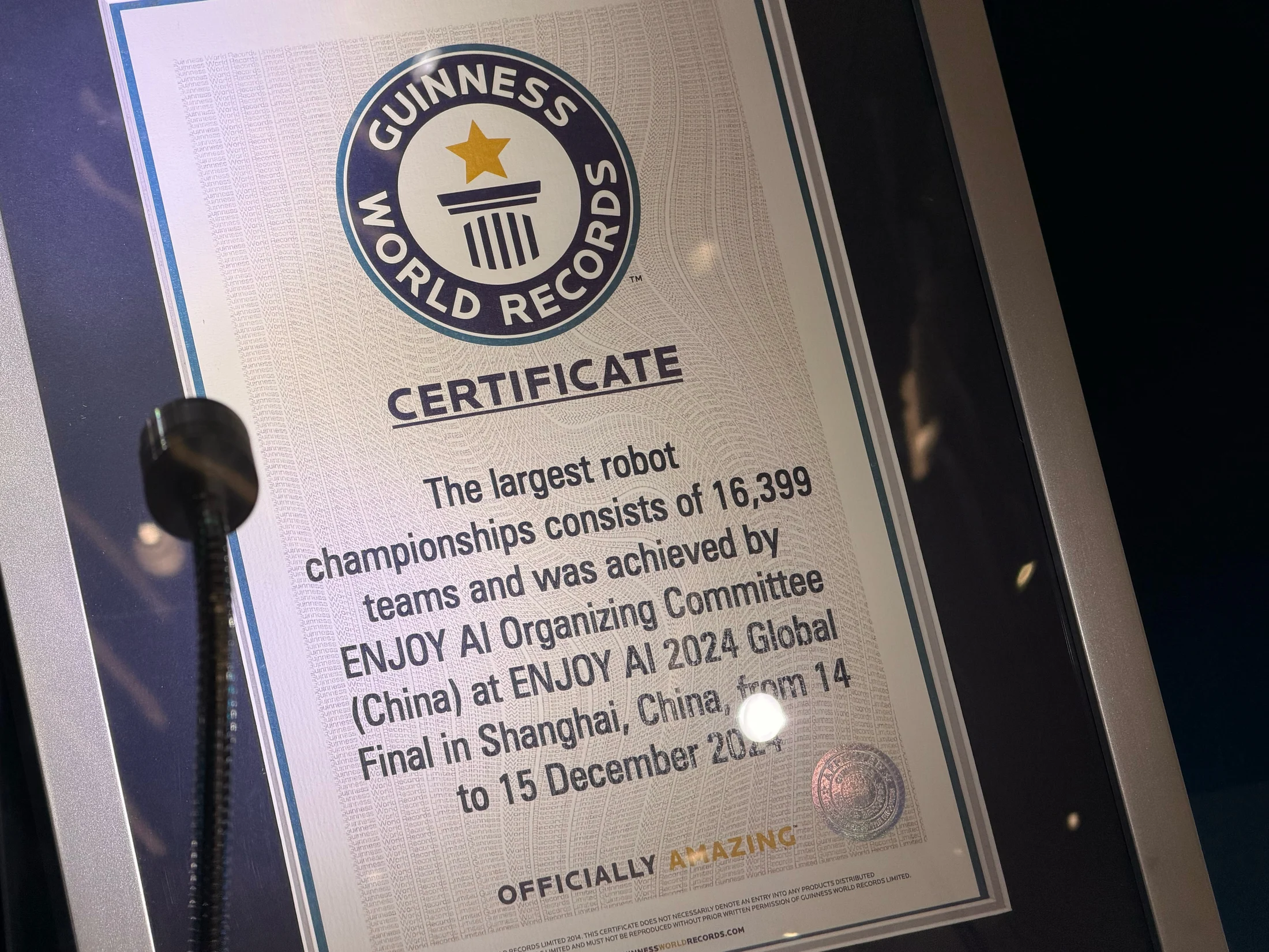 Certificado do Guinness World Records exposto durante a visita.